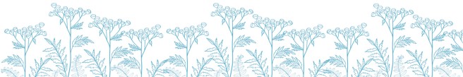 An image of blue flowers on a white background.